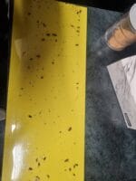 چسب حشره گیر UV چراغ سایلنت
